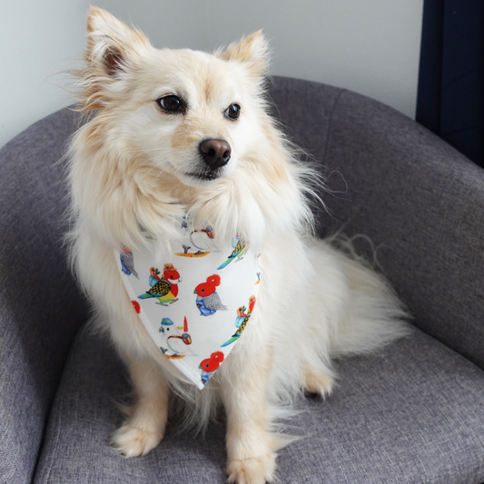 Watercolour Australian Parrots Dog Bandana