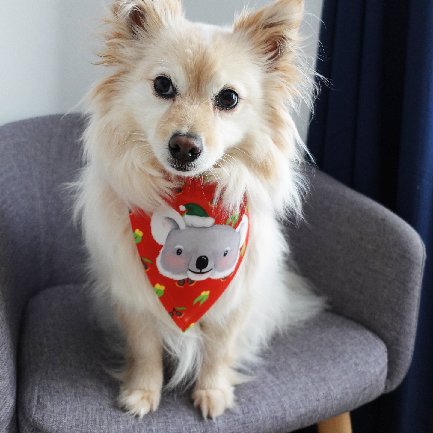 SECONDS Aussie Koala Christmas Dog Bandana