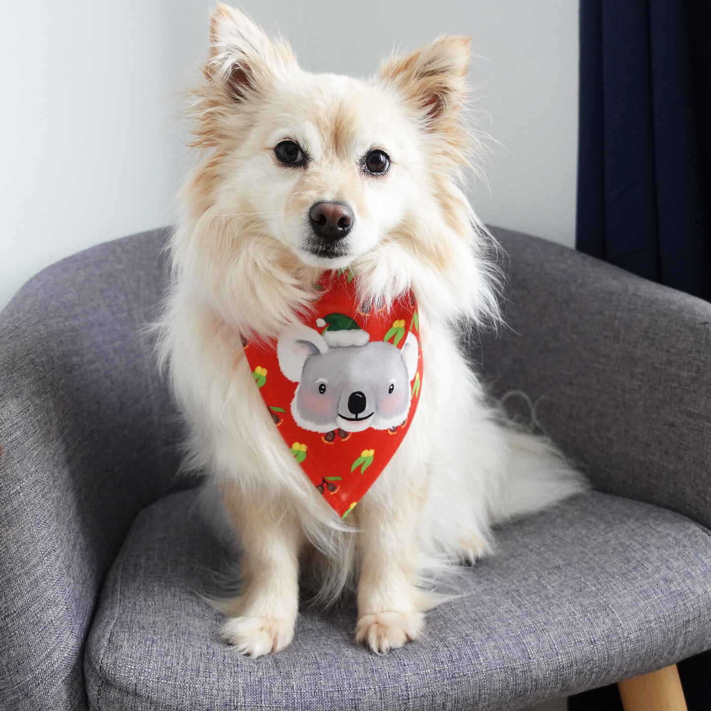 SECONDS Aussie Koala Christmas Dog Bandana