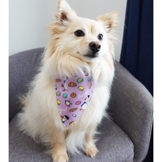 French Cafe Dog Bandana