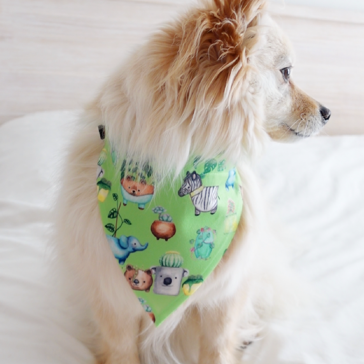 Green Paw Indoor Plant Dog Bandana