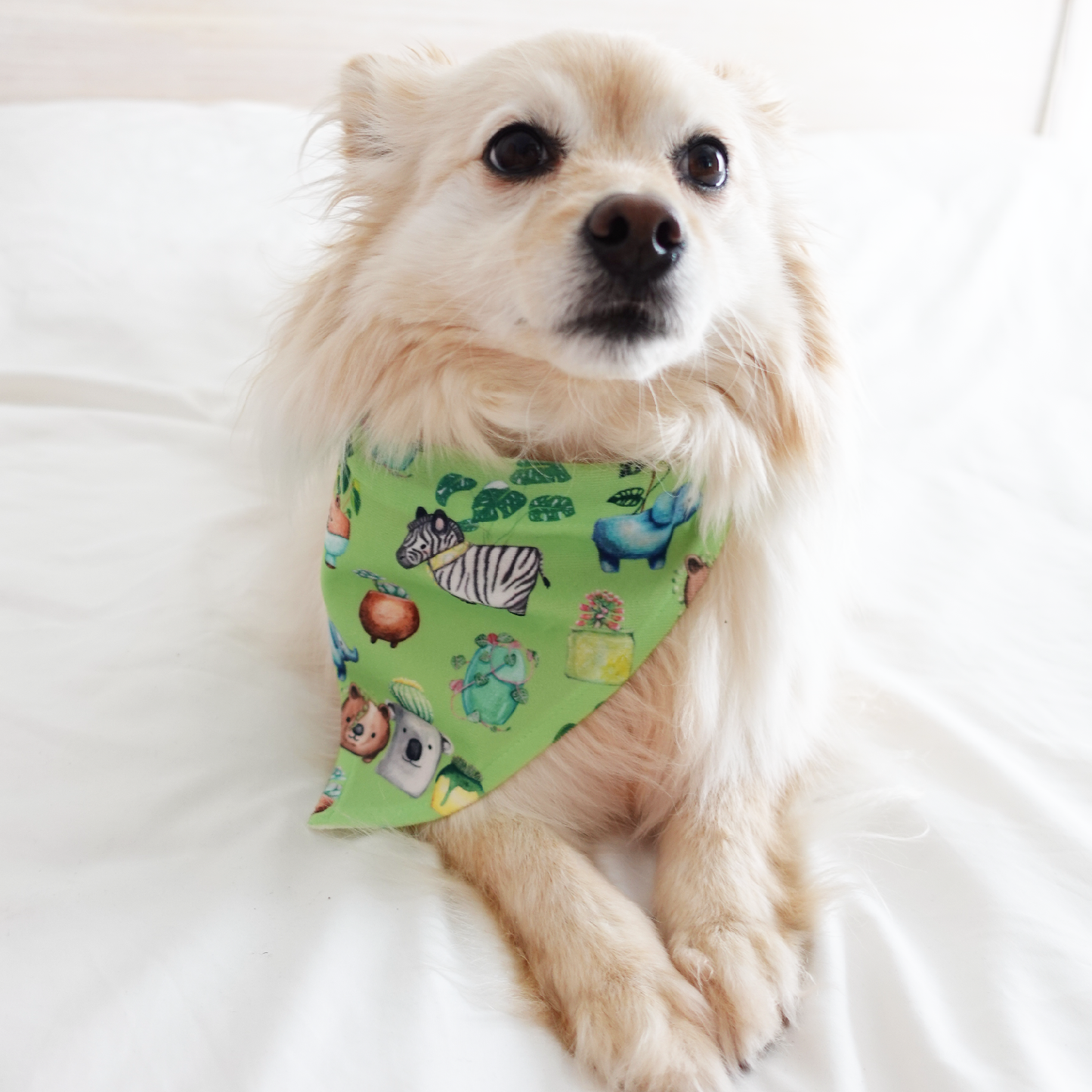 Green Paw Indoor Plant Dog Bandana