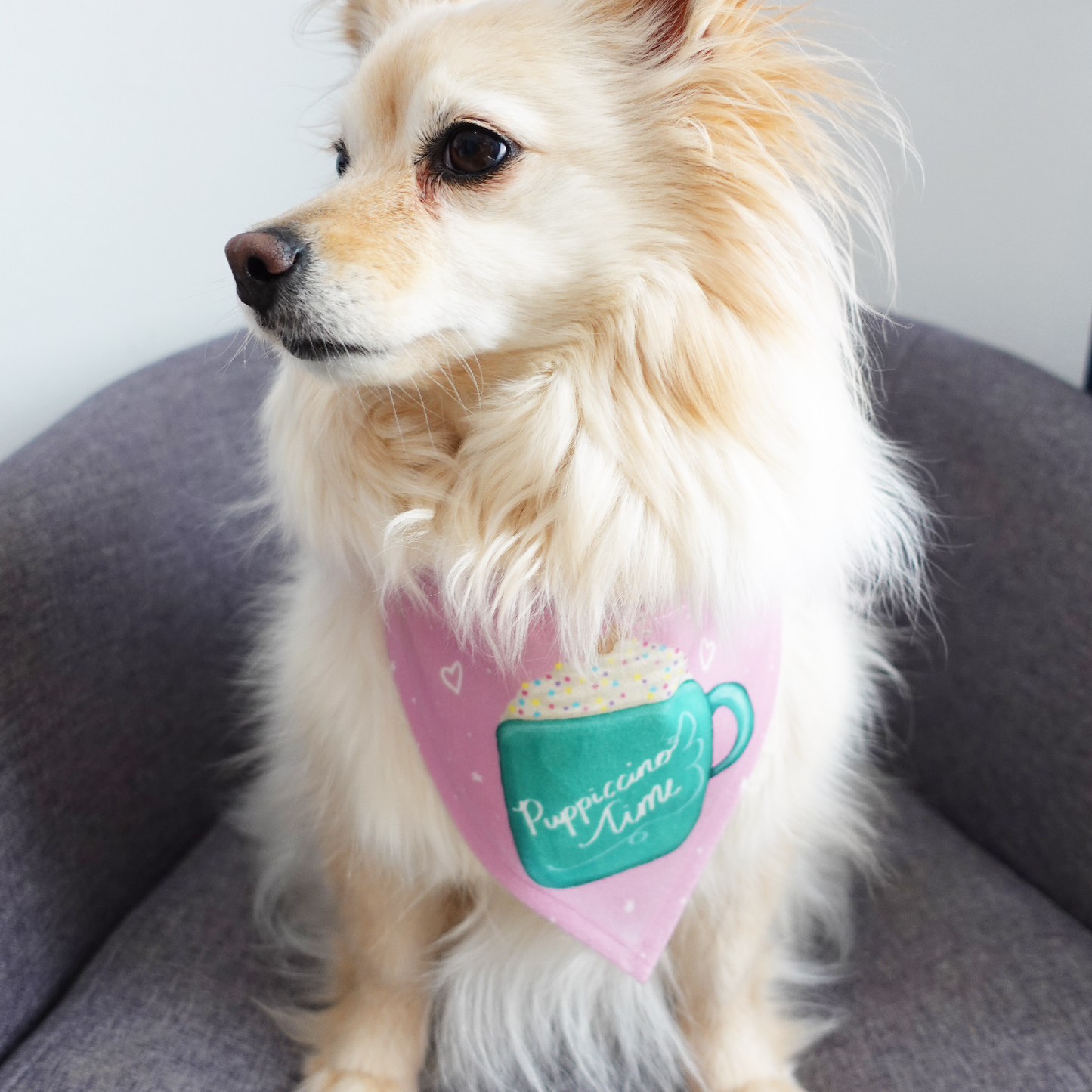 Puppiccino Time! Dog Bandana