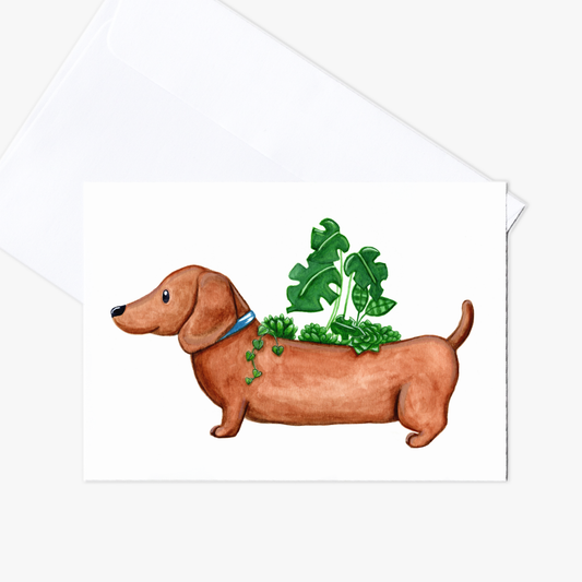 Indoor Plants with Dachshund Plant Pot Card