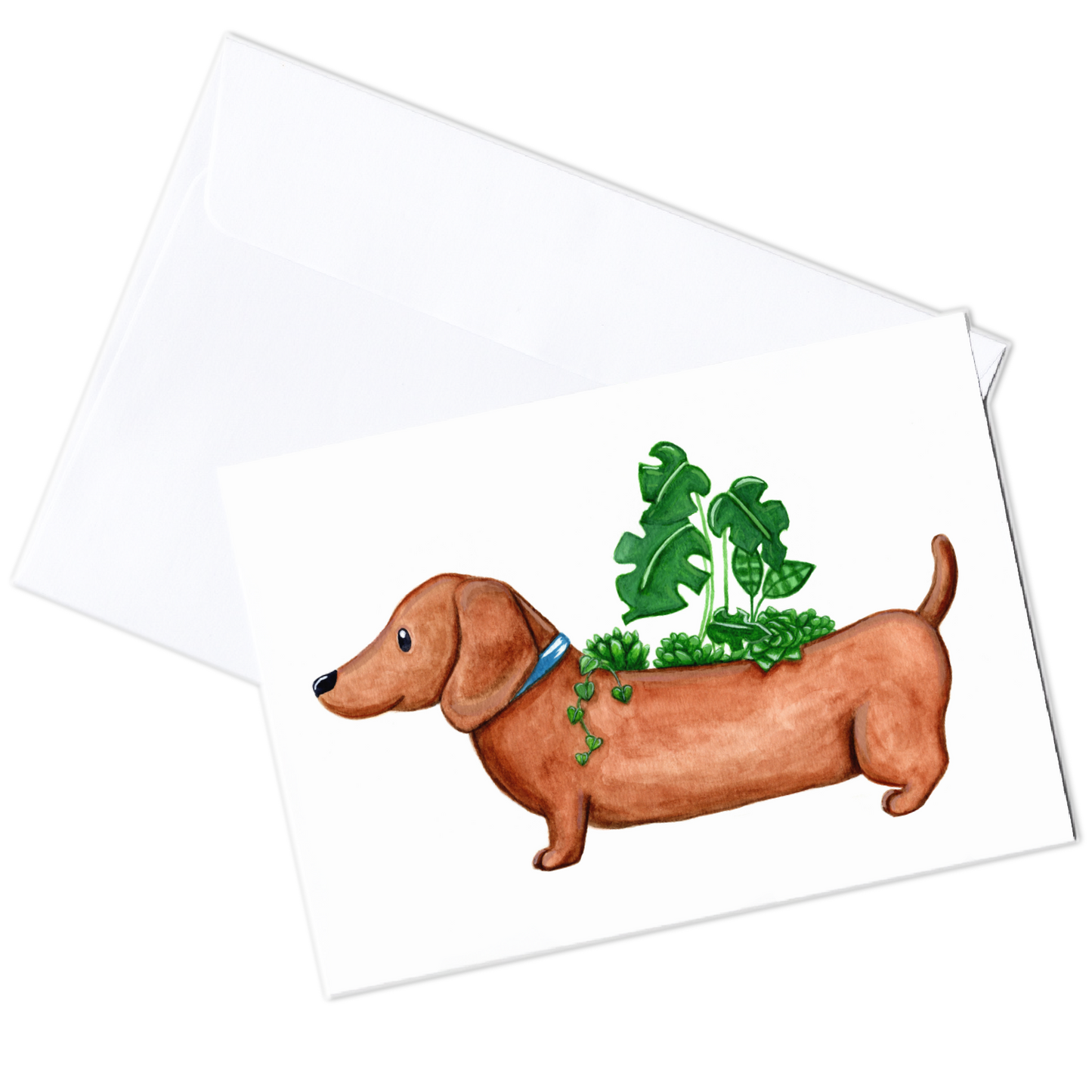 Indoor Plants with Dachshund Plant Pot Card